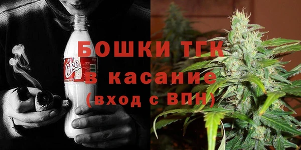 дживик Гусев