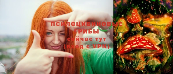кокс Гусь-Хрустальный