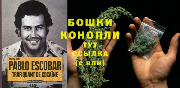 бошки Дмитровск