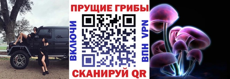 Псилоцибиновые грибы Cubensis  Купить где  Кимовск 